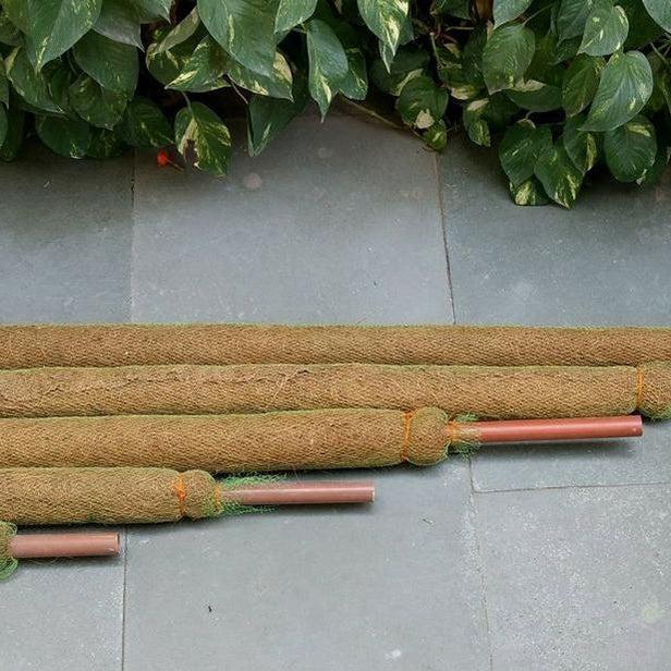 Coir Moss Stick Plant Straightener-Tools & Accessories-Root Bridges