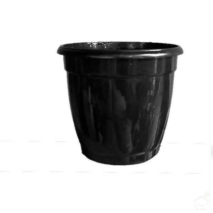 Pots Black 3.1" Round Hermes Pot (Pack of 10)