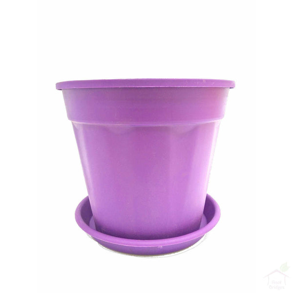 Pots Purple 10" Colourful Grower Pots