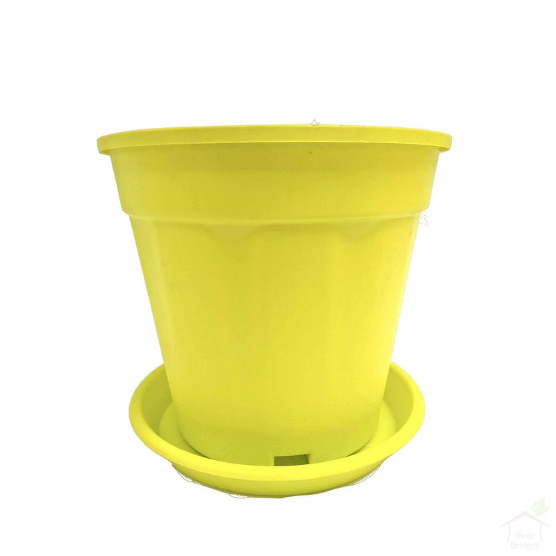 Pots Yellow 10" Colourful Grower Pots