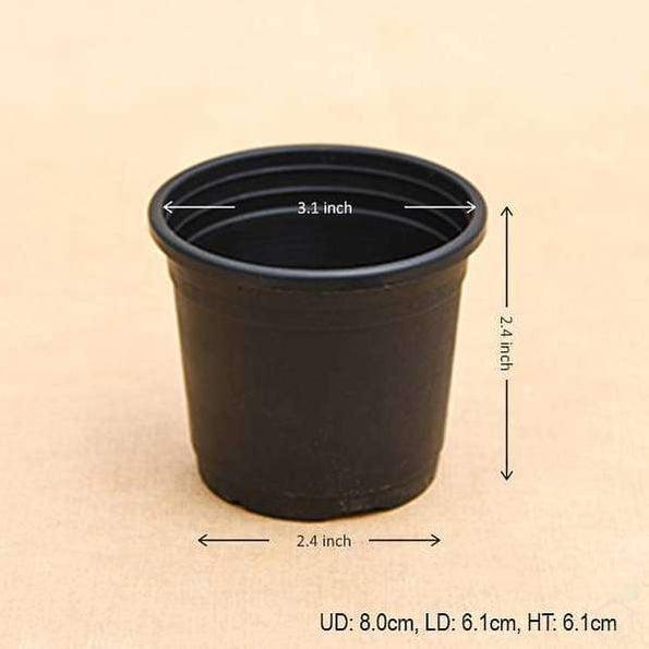 3" Black Pot with Plate-Pots-Root Bridges