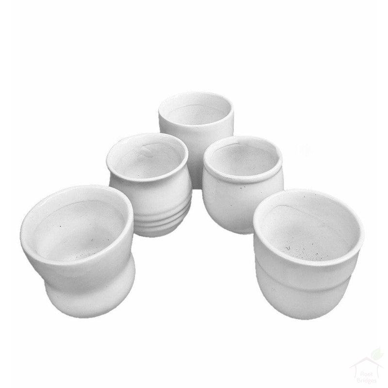 Pots 2.5" White Ceramic Succulent Pots (Pack of 3)