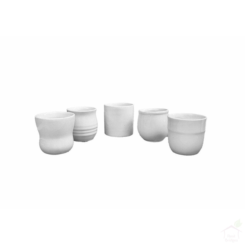Pots No Plate 2.5" White Ceramic Succulent Pots (Pack of 3)
