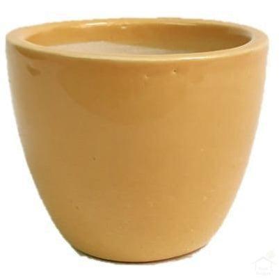 Pots Yellow 3.5" Mini Round Ceramic Pot