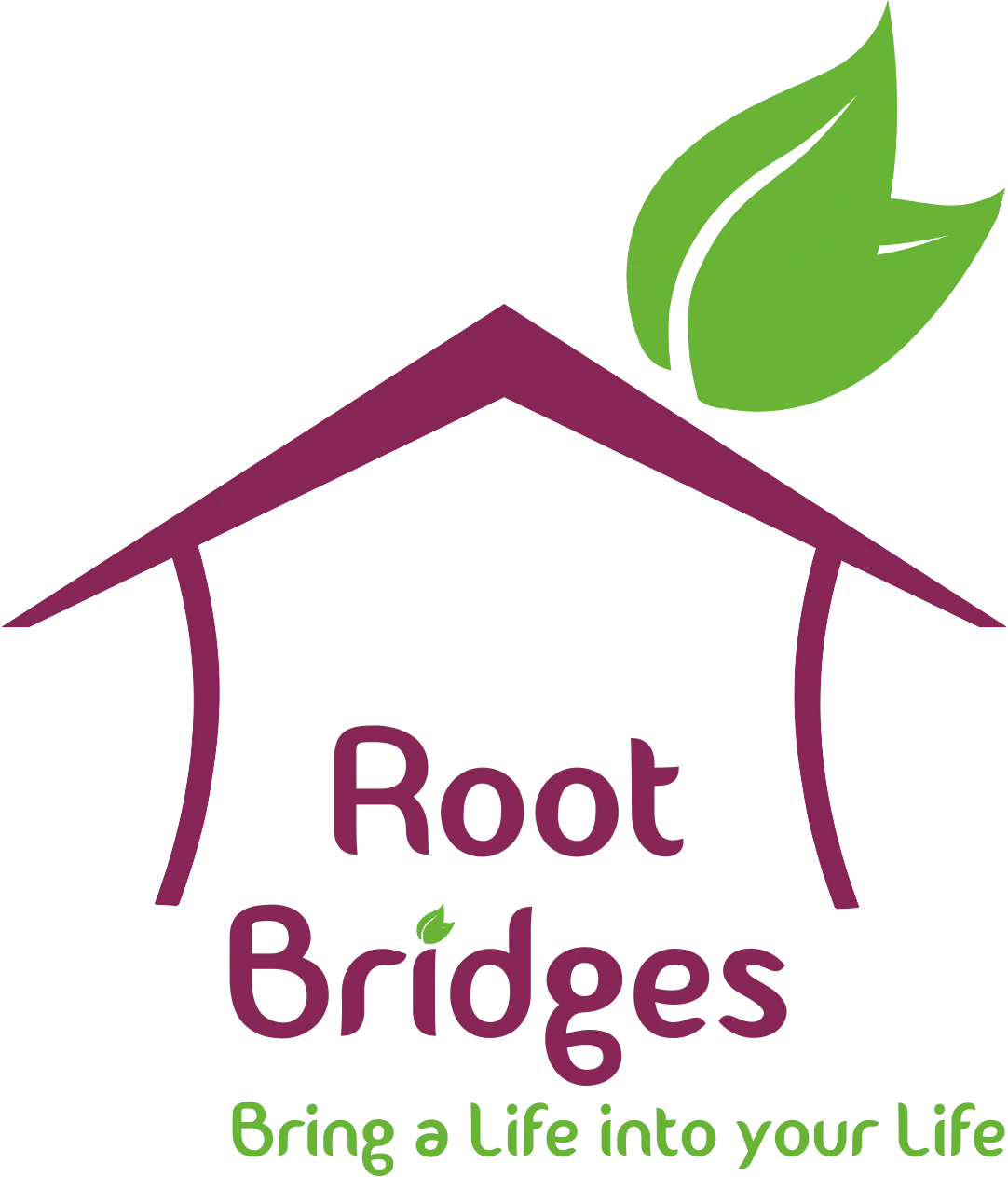 Root Bridges