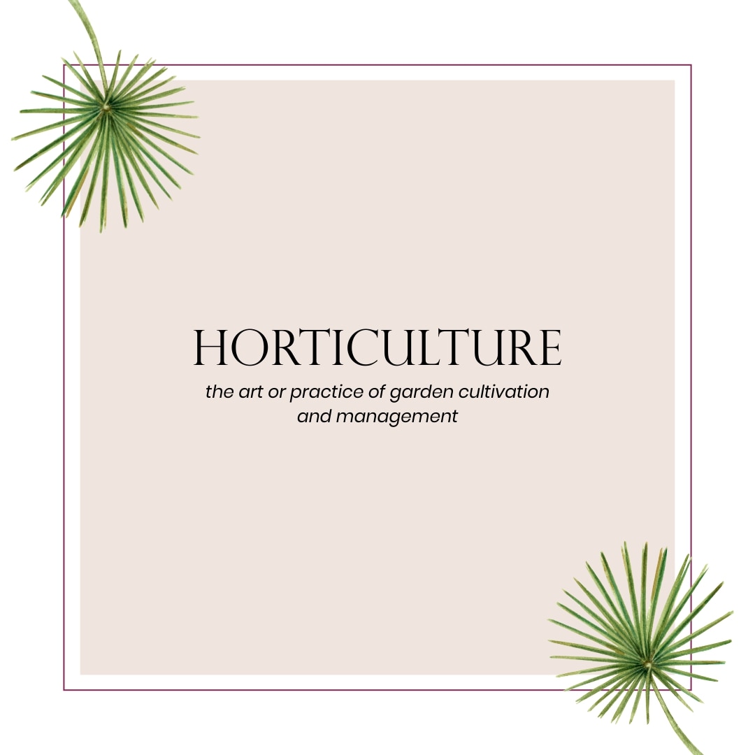 update image not found