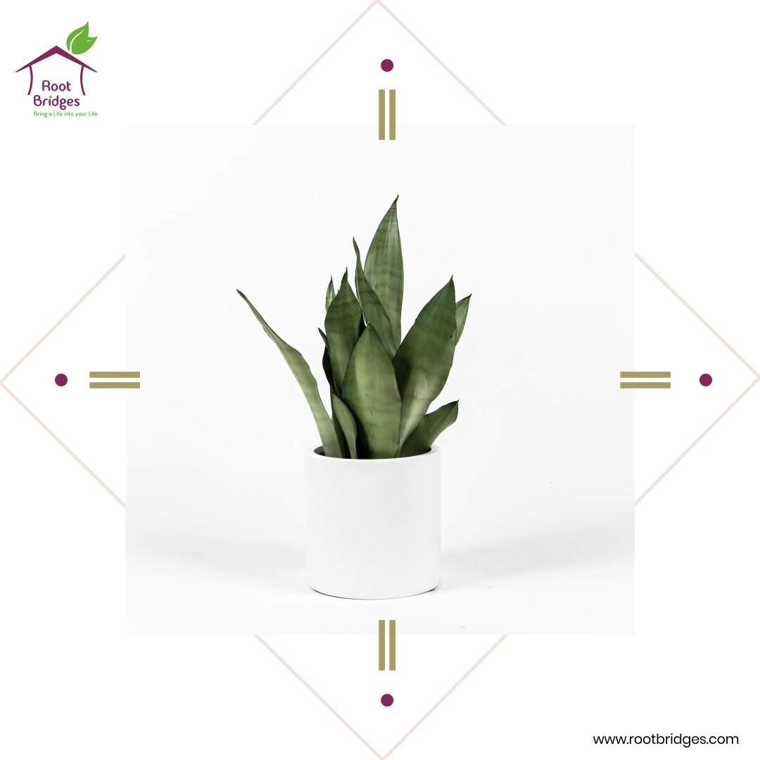 update image not found