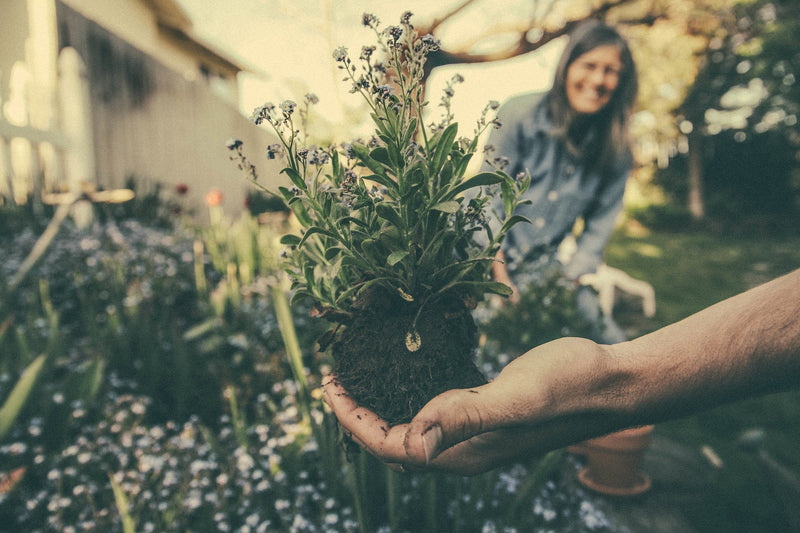 10 Unbelievable Benefits Of Gardening