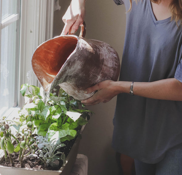 How To Make Your Own Kitchen Garden