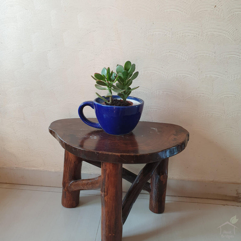 6.25" Blue Cup Ceramic Pot-Pots-Root Bridges