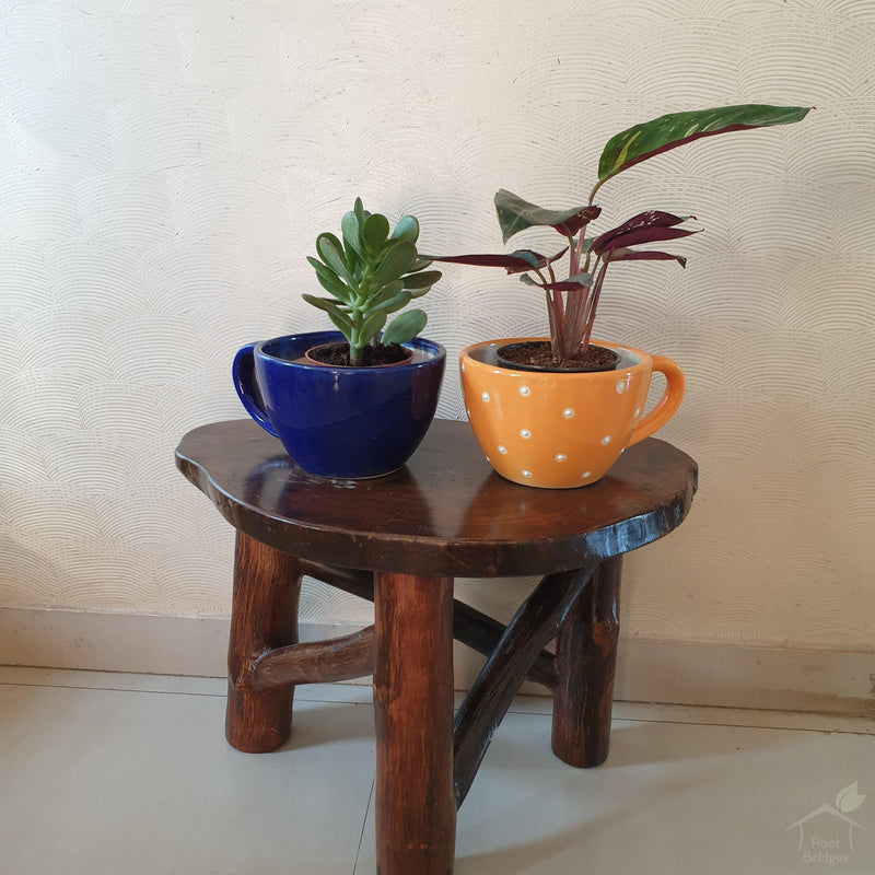 6.25" Blue Cup Ceramic Pot-Pots-Root Bridges