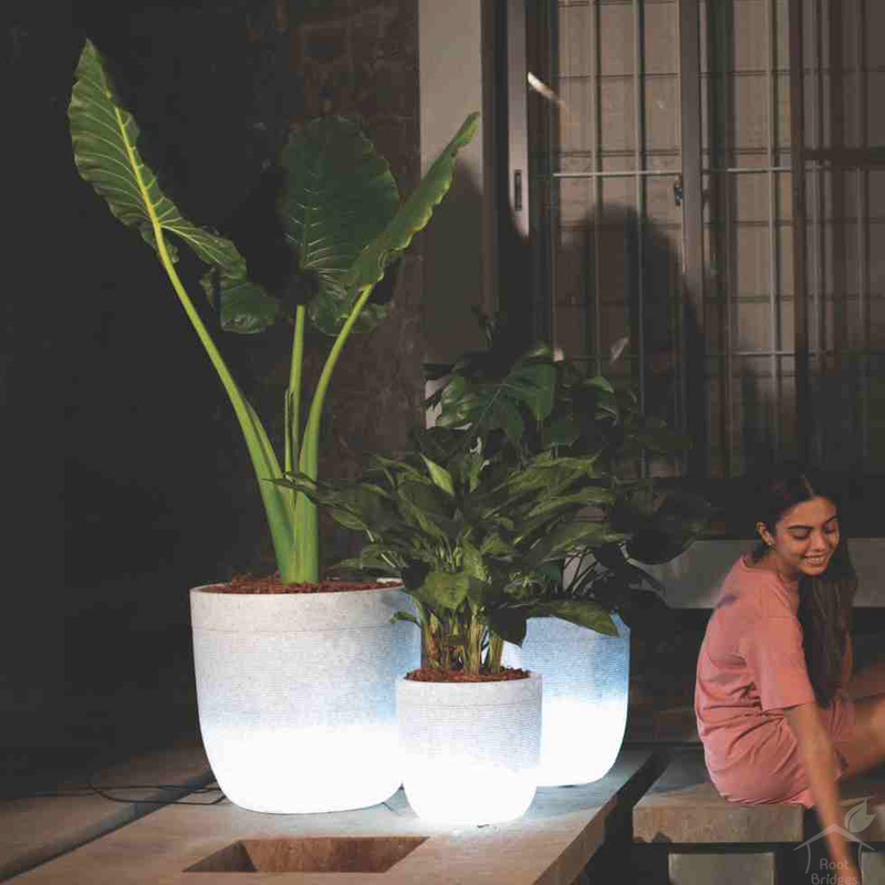 Illuminated Milano Planter-Pots-Root Bridges