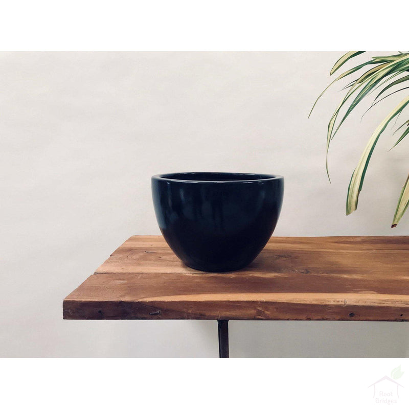 Pots Medium / Black / No 9"-11.8" Echoing Eternity (Broad) Ceramic Pots with Optional Wooden Stands