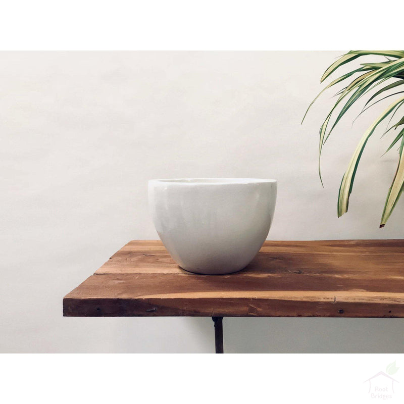 Pots Medium / White / No 9"-11.8" Echoing Eternity (Broad) Ceramic Pots with Optional Wooden Stands