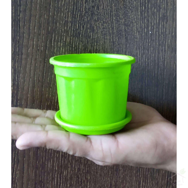 Pots Green 3" Colourful Grower Pots with Plate (Pack of 3)