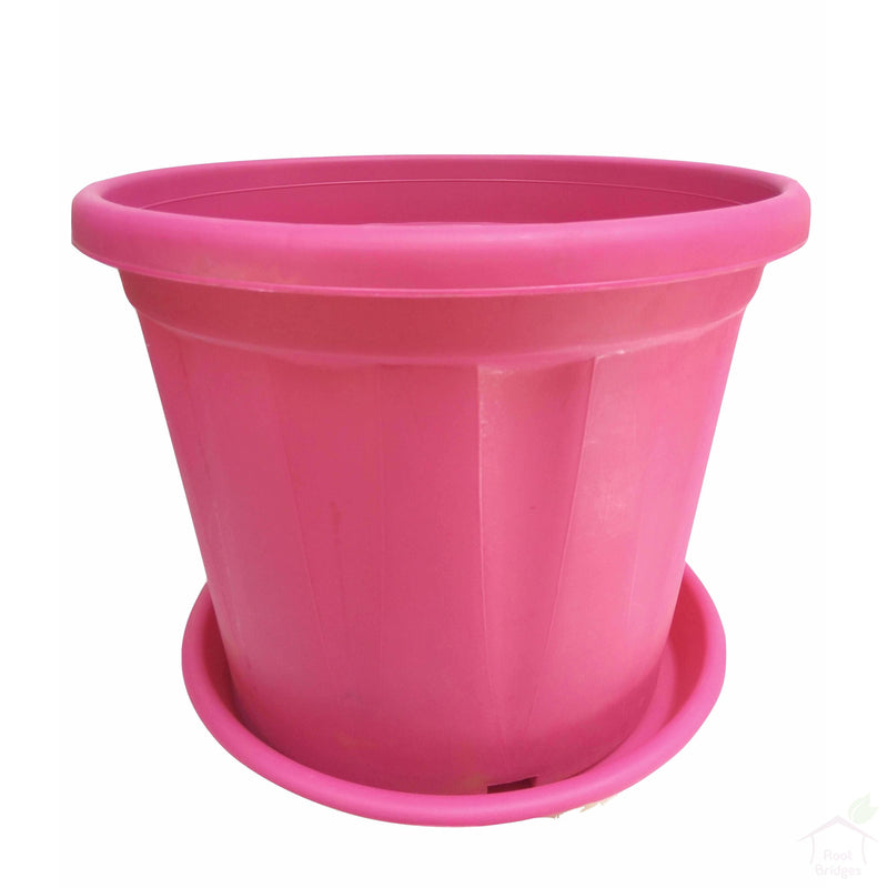 Pots Pink 10" Colourful Grower Pots