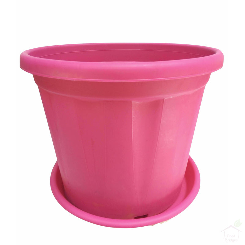 Pots Pink 6" Colourful Grower Pots