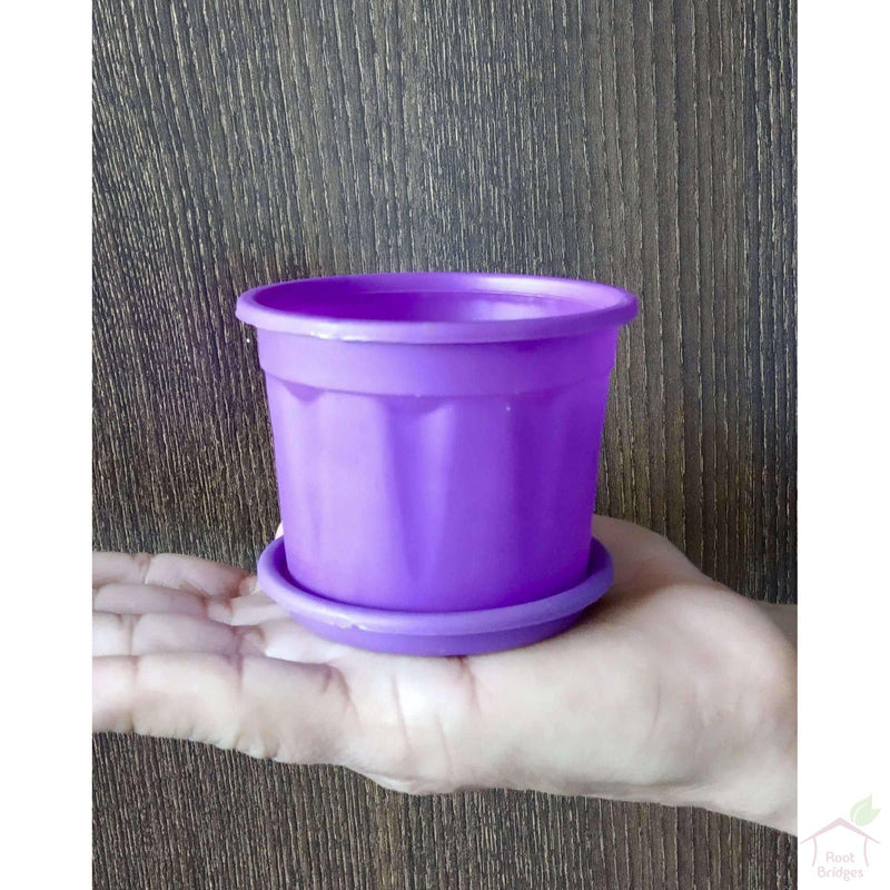 3" Purple Pot with Plate-Pots-Root Bridges