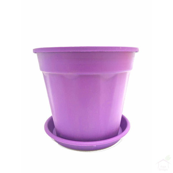 Pots Purple 6" Colourful Grower Pots