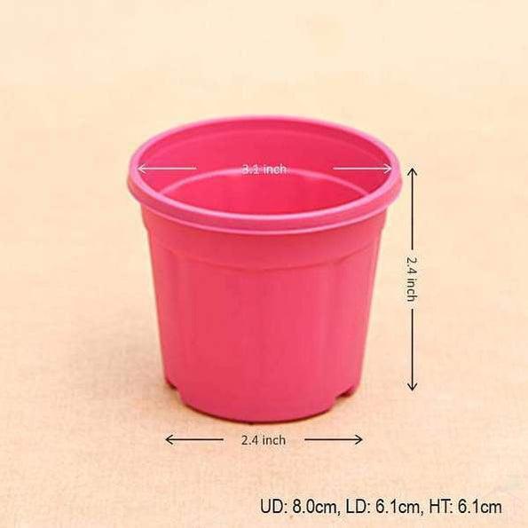 3" Pink Pot with Plate-Pots-Root Bridges
