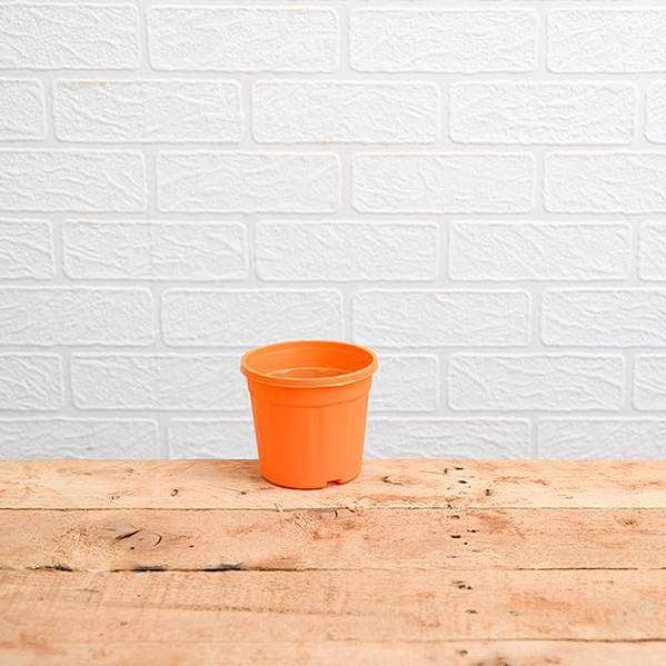 3" Orange Pot with Plate-Pots-Root Bridges