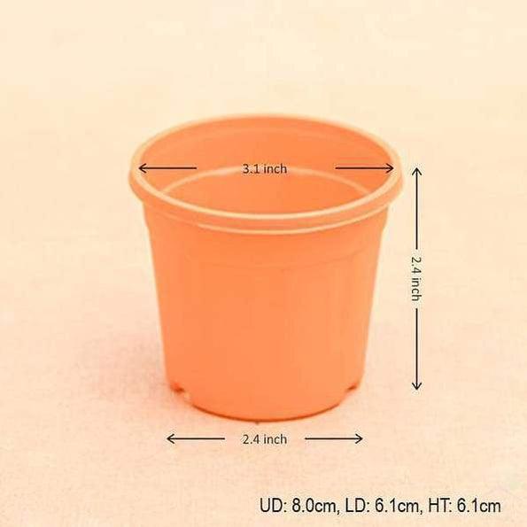 3" Orange Pot with Plate-Pots-Root Bridges