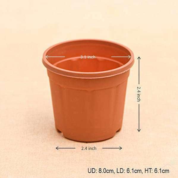3" Brown Pot with Plate-Pots-Root Bridges