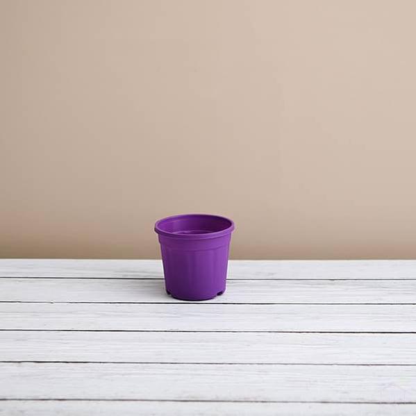 3" Purple Pot with Plate-Pots-Root Bridges