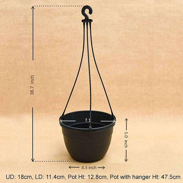 7.1" Black Corsica Hanging Basket-Pots-Root Bridges