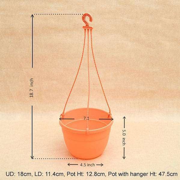 7.1" Orange Corsica Hanging Basket-Pots-Root Bridges