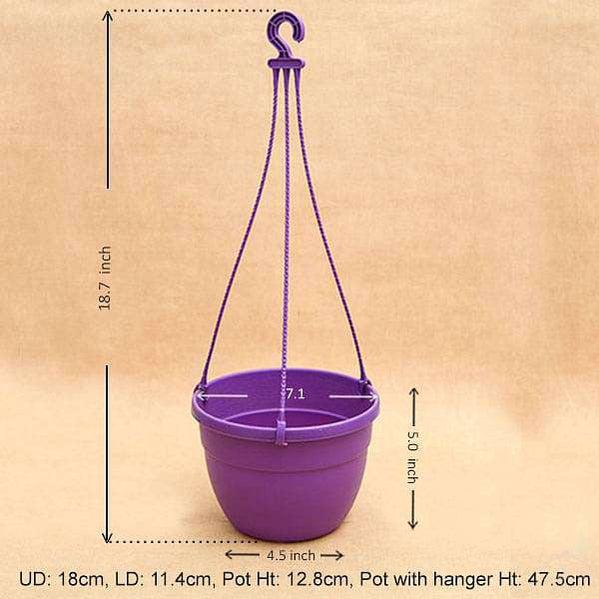 7.1" Purple Corsica Hanging Basket-Pots-Root Bridges