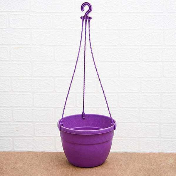 7.1" Purple Corsica Hanging Basket-Pots-Root Bridges