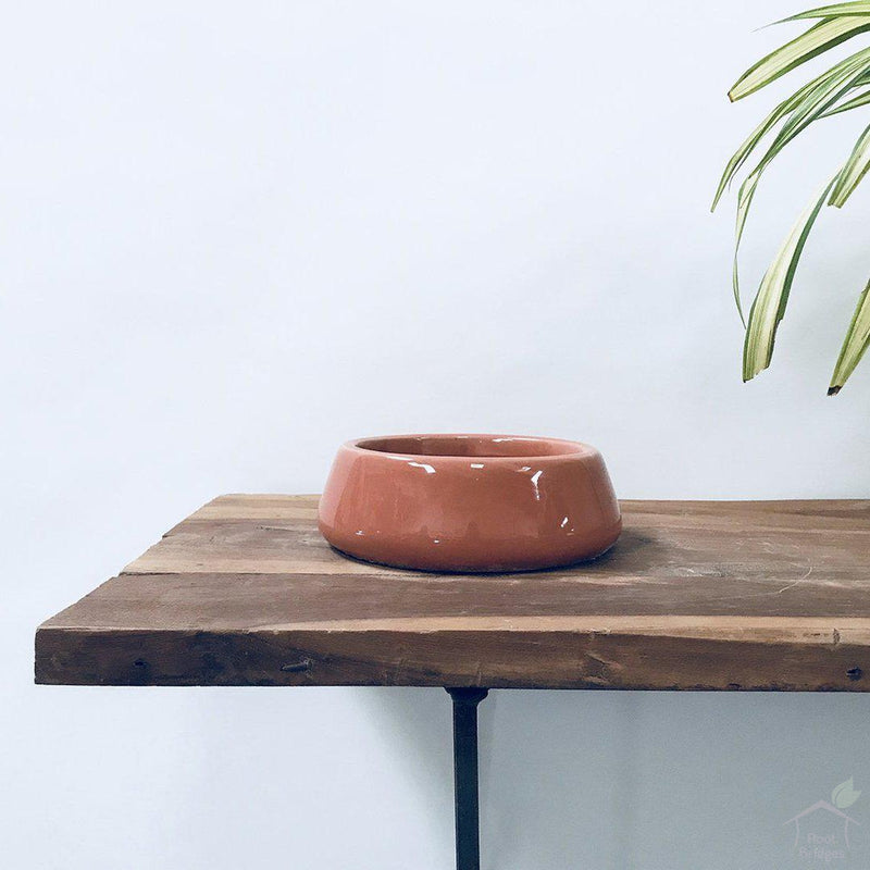 6" Wide Bowl Ceramic Pot-Pots-Root Bridges