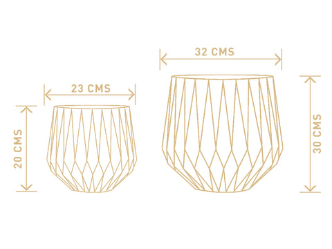 Dimensions - Precious Horcrux - Ceramic Pots - Root Bridges Nursery