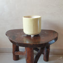 6" Yellow Four Legs Ceramic Pot-Pots-Root Bridges