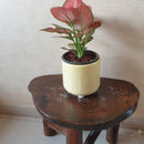 6" Yellow Four Legs Ceramic Pot-Pots-Root Bridges