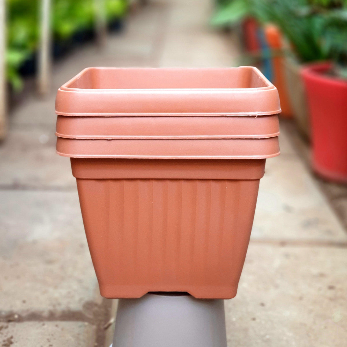 8" Brown Bello Square Pot-Pots-Root Bridges