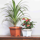 8" Brown Bello Square Pot-Pots-Root Bridges