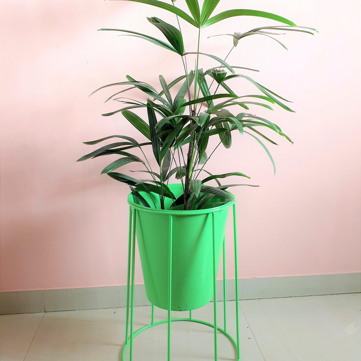 9.8" Light Green Indigo Metal Planter with Stand-Pots-Root Bridges