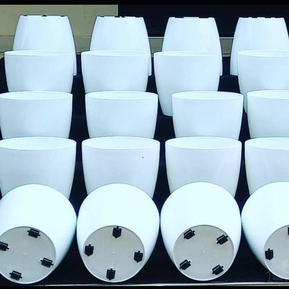 15.7" Valencia Plastic Planter with Wheels-Pots-Root Bridges