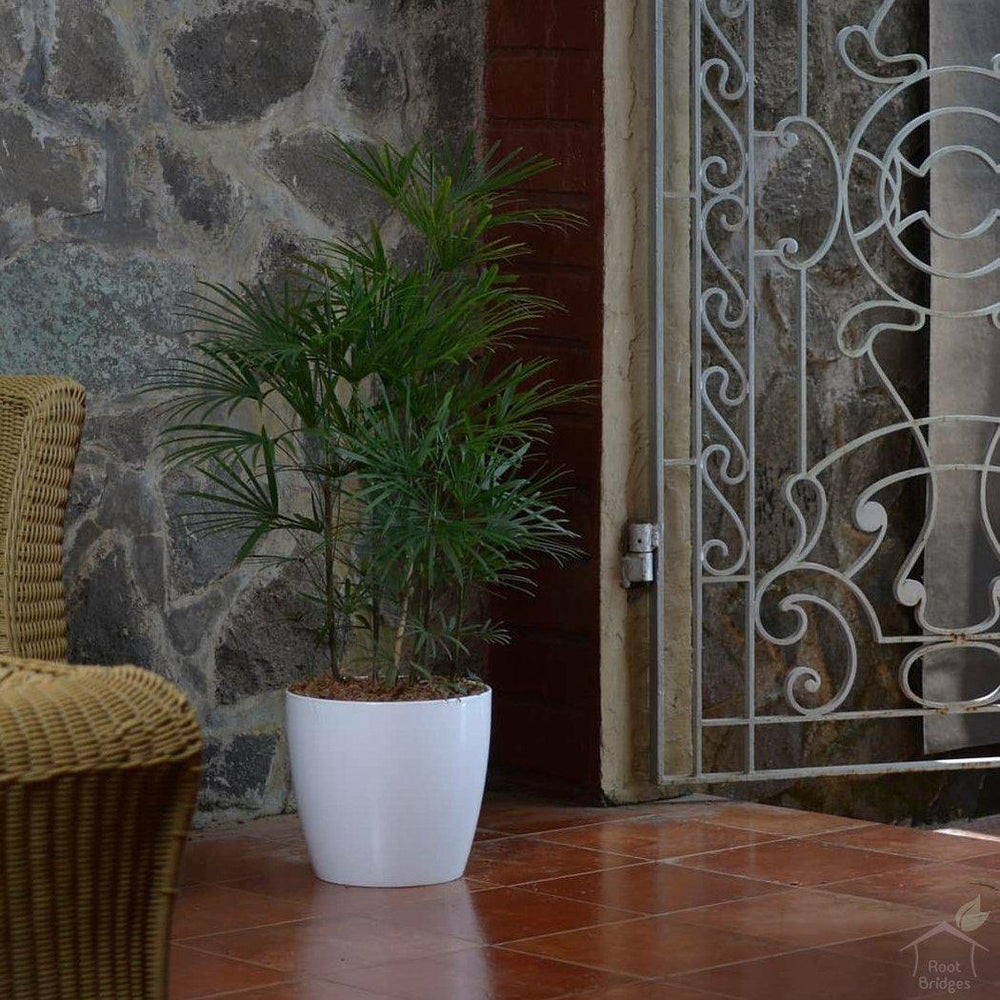 15.7" Valencia Plastic Planter with Wheels-Pots-Root Bridges