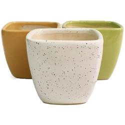 3.5" Curved Square Ceramic Pot - Pots - Root Bridges | Buy Plants Online