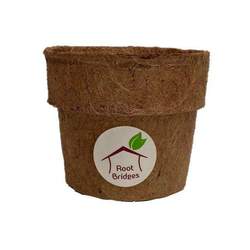 4" Coco Pot - Pots - Root Bridges | Buy Plants Online
