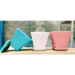 3.5" Square Ceramic Pot with Plate - Pots - Root Bridges | Buy Plants Online