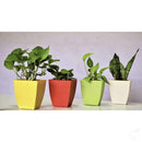 Pots 4.7" Square Container Pot