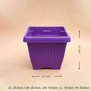 10" Purple Bello Square Pot-Pots-Root Bridges