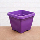 10" Purple Bello Square Pot-Pots-Root Bridges