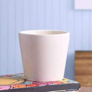 4" White Cone Ceramic Pot-Pots-Root Bridges