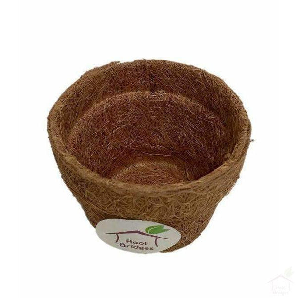 Pots 4" Coco Pot